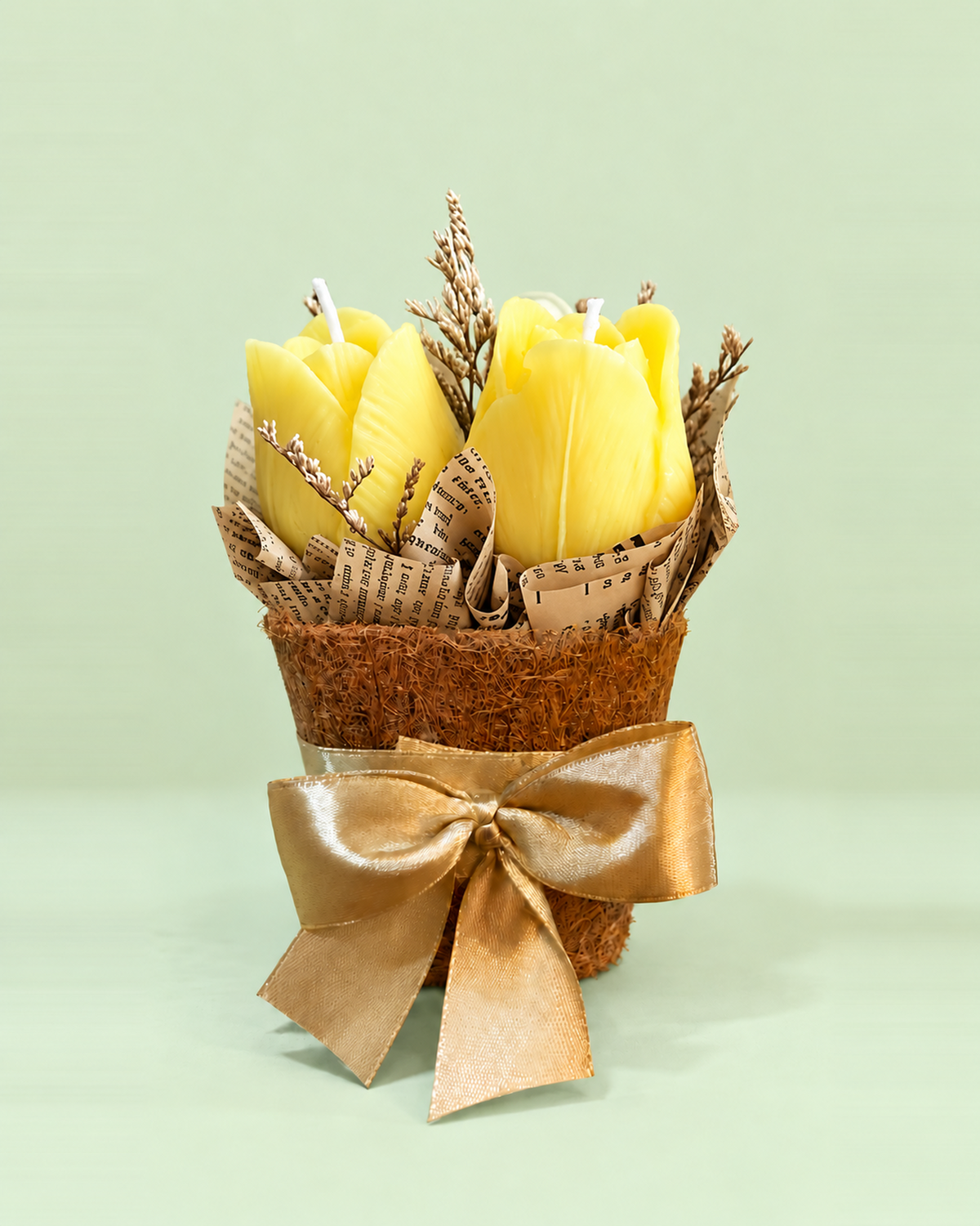 Yellow White Tulips in a Pot (3tulips)