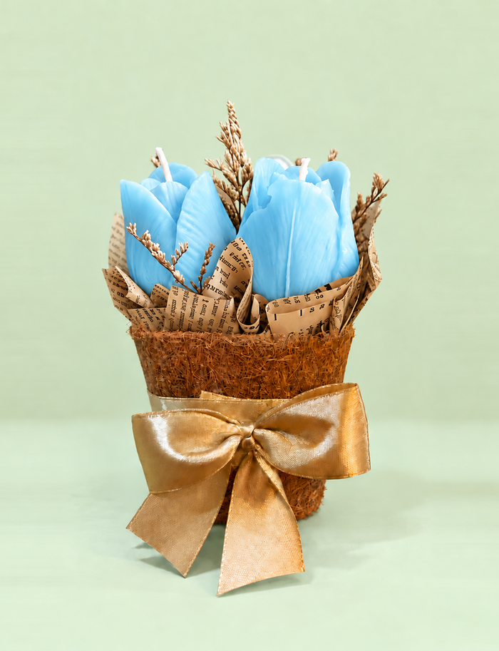 Blue White Tulips in a Pot (3tulips)