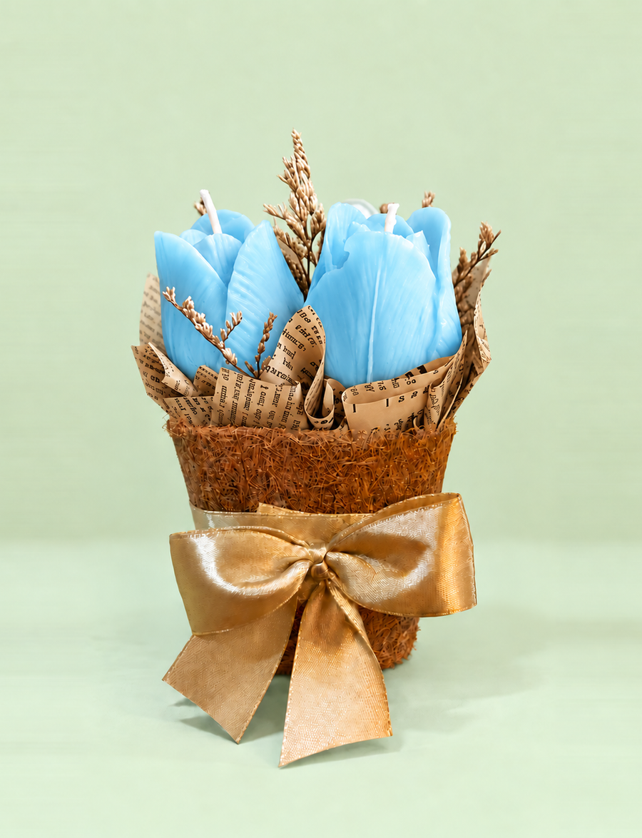 Blue White Tulips in a Pot (3tulips)