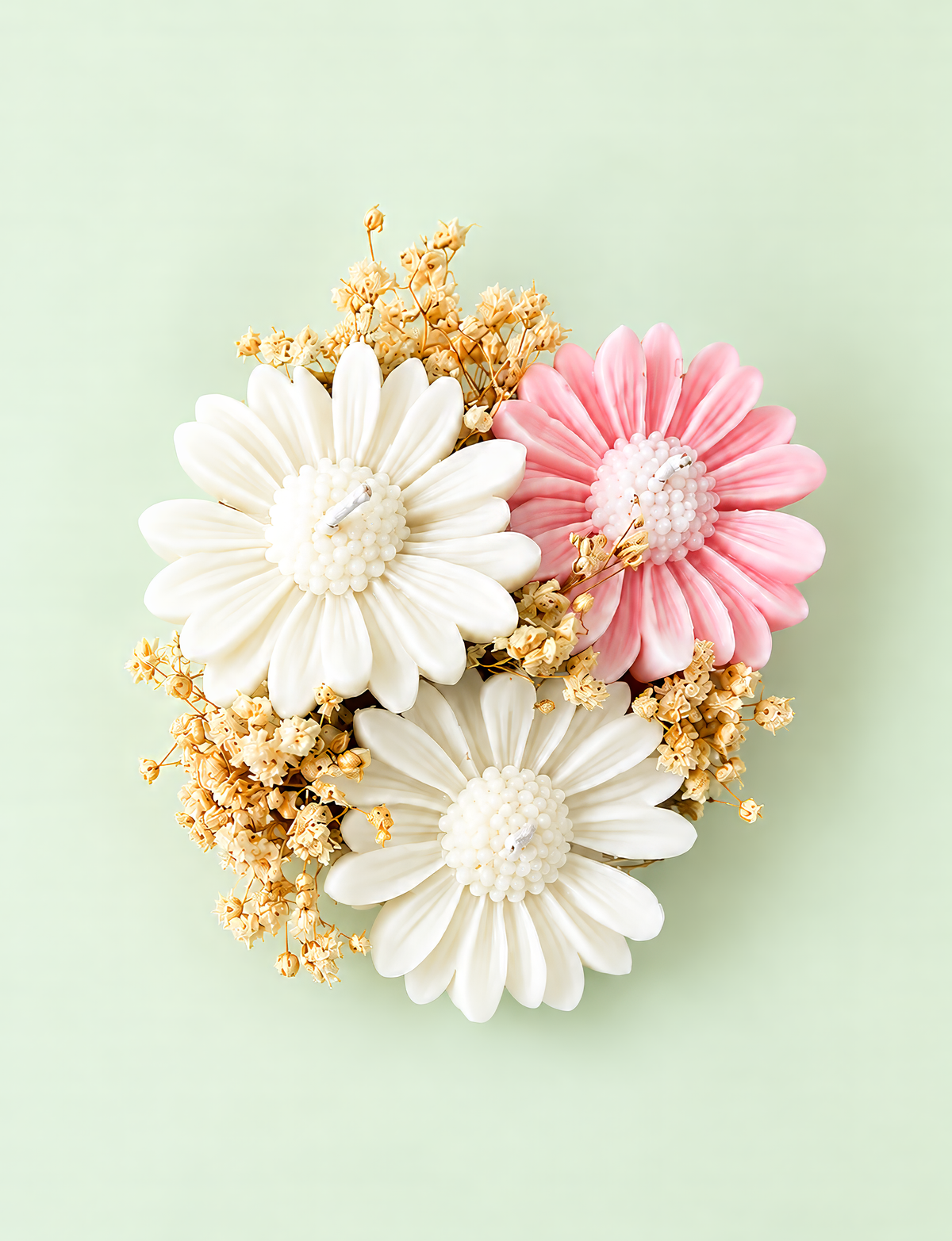 White and Pink Candle Daisies 3 pcs in a Pot