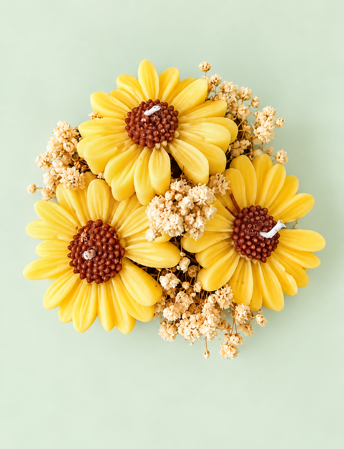 Yellow Candle Daisies 3 pcs in a Pot